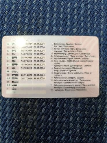 Услуга: профессиональные услуги водителя с действующими правами at lalafo.kg Услуга: профессиональные услуги водителя с действующими правами