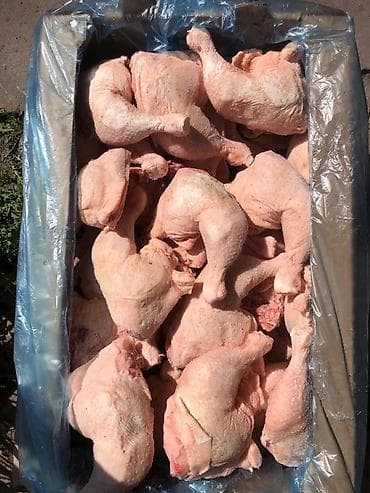 Замороженные части цыплят-бройлеров
"оптом"
Халал at lalafo.kg Замороженные части цыплят-бройлеров
"оптом"
Халал