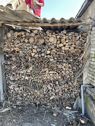 Дрова at lalafo.kg Дрова