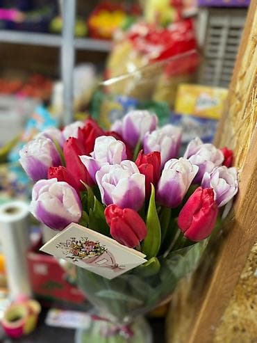 Бонбоньеркалар: Букет тюльпанов в пленке - Состав: тюльпаны двух оттенков — lalafo.kg да — 1 Бонбоньеркалар: Букет тюльпанов в пленке - Состав: тюльпаны двух оттенков — — 1