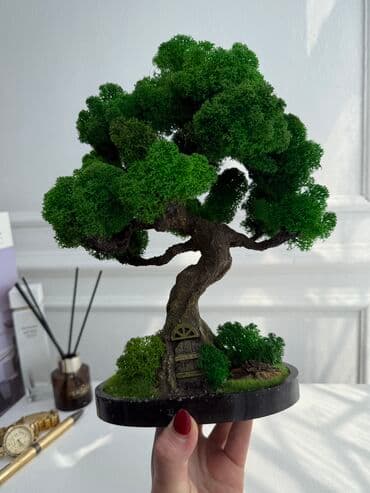 В переводе с японского Бонсай означает «дерево, выращенное в блюде» at lalafo.kg В переводе с японского Бонсай означает «дерево, выращенное в блюде»