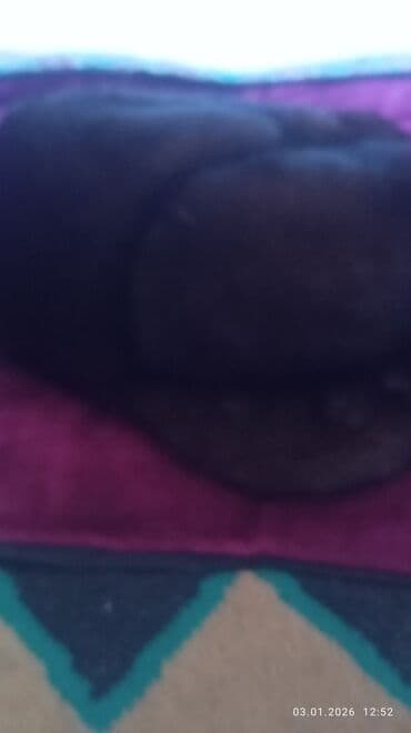 Головные уборы at lalafo.kg Головные уборы