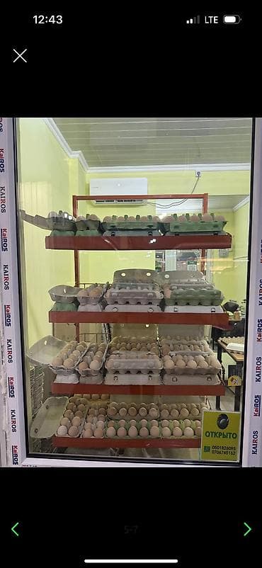 Аренда коворкинга: Аренда офисов, 7 м², В торговом центре, С последующим выкупом at lalafo.kg — 3 Аренда коворкинга: Аренда офисов, 7 м², В торговом центре, С последующим выкупом — 3