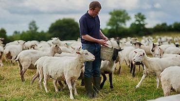 Требуется Пастух, Оплата: Ежемесячно, Питание at lalafo.kg Требуется Пастух, Оплата: Ежемесячно, Питание