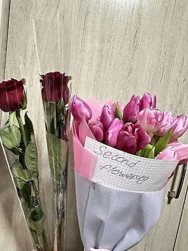 Продаю тюльпаны 18 штук за 1200 сом Розы 2штук по 100 сом Цены at lalafo.kg Продаю тюльпаны 18 штук за 1200 сом Розы 2штук по 100 сом Цены