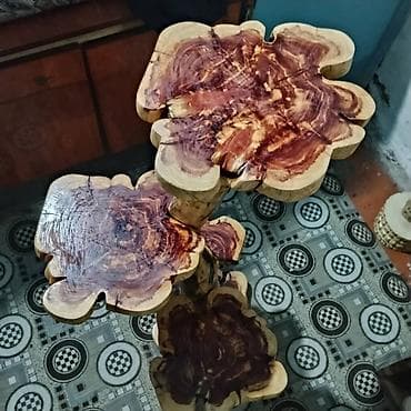 Дүкөн үчүн текчелер: Гүлдөр үчүн текче, этажерка, Жыгач lalafo.kg да — 6 Дүкөн үчүн текчелер: Гүлдөр үчүн текче, этажерка, Жыгач — 6