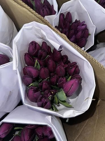 Платная доставка, Бесплатная доставка, Самовывоз at lalafo.kg Платная доставка, Бесплатная доставка, Самовывоз