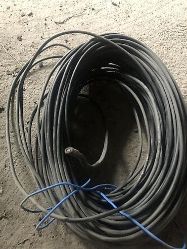 Продаю Каму что надо at lalafo.kg Продаю Каму что надо