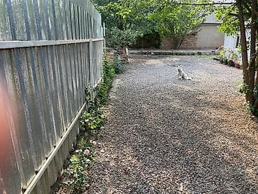 СрочноПродается домна очень уютномтииихом переулкев маленьком at lalafo.kg — 8 СрочноПродается домна очень уютномтииихом переулкев маленьком — 8