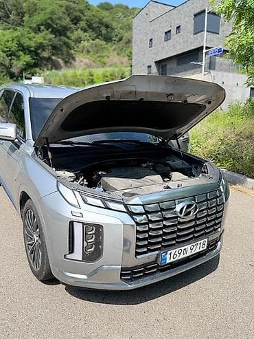 gitara lakewood: Hyundai Palisade: 2022 г., 2.2 л, Автомат, Дизель, Кроссовер at lalafo.kg — 9 gitara lakewood: Hyundai Palisade: 2022 г., 2.2 л, Автомат, Дизель, Кроссовер — 9