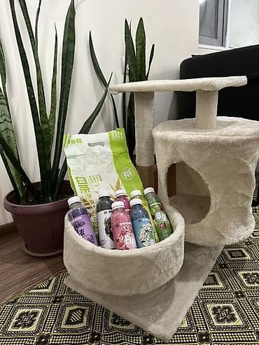 Когтеточка-домик для кошек, компактная и многоуровневая. - Материал lalafo.kg да — 2 Когтеточка-домик для кошек, компактная и многоуровневая. - Материал — 2