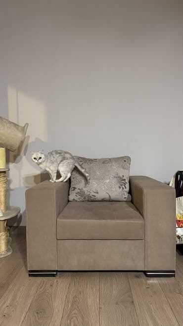 Кресло, в отличном состоянии. Размеры: длина 91см, ширина 101см at lalafo.kg Кресло, в отличном состоянии. Размеры: длина 91см, ширина 101см