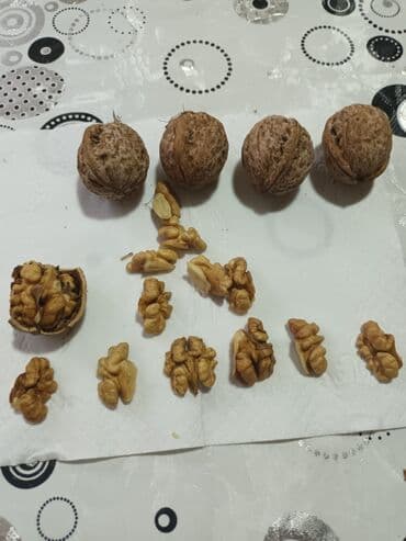 Грецкие орехи в скорлупе и ядра - Крупные орехи в плотной скорлупе at lalafo.kg Грецкие орехи в скорлупе и ядра - Крупные орехи в плотной скорлупе