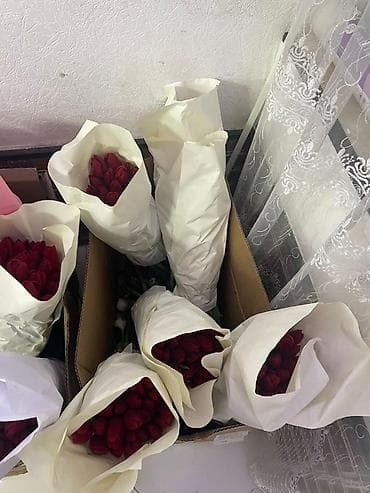 LED гирляндалар: Тюльпан гулдору оптом 95сом штук Штучно 130 сом. Оптом от 150шт - lalafo.kg да — 6 LED гирляндалар: Тюльпан гулдору оптом 95сом штук Штучно 130 сом. Оптом от 150шт - — 6