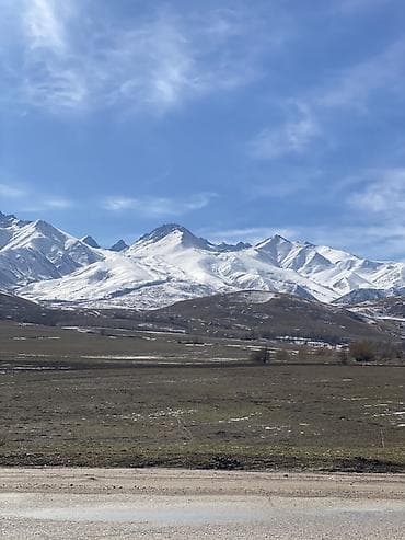 20 соток, Для строительства, Красная книга at lalafo.kg — 1 20 соток, Для строительства, Красная книга — 1