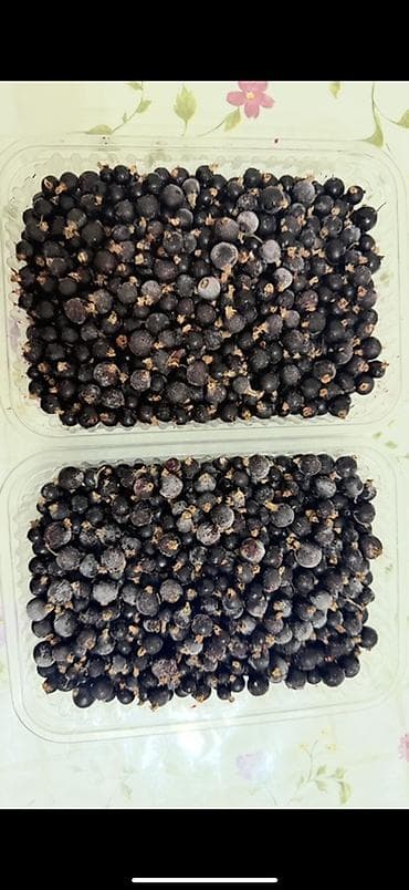 Продается черная смородина замороженная Иссык-Кульская, обычная at lalafo.kg Продается черная смородина замороженная Иссык-Кульская, обычная