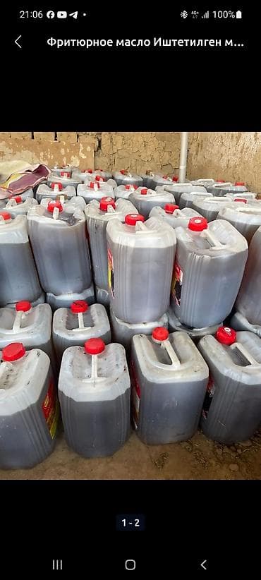 Частное лицо : Другие с/х животные, | Круглосуточно at lalafo.kg Частное лицо : Другие с/х животные, | Круглосуточно