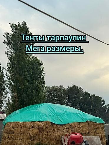 Тентовая Тарпаулин - Плотность: 120 и 180 г/м² - Форматы рулонов lalafo.kg да Тентовая Тарпаулин - Плотность: 120 и 180 г/м² - Форматы рулонов