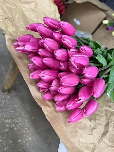 Бонбоньерки: Тюльпаны срезанные, свежие, плотный бутон. - Цвета: ярко-розовый и at lalafo.kg — 4 Бонбоньерки: Тюльпаны срезанные, свежие, плотный бутон. - Цвета: ярко-розовый и — 4