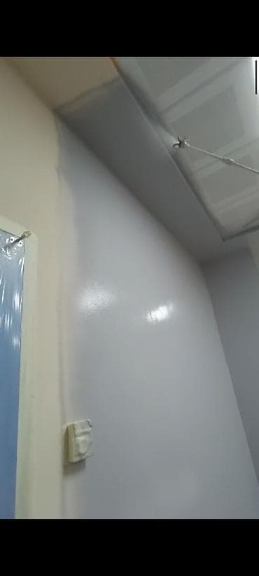 для снятия краски: Покраска стен, На водной основе, 3-5 лет опыта at lalafo.kg — 9 для снятия краски: Покраска стен, На водной основе, 3-5 лет опыта — 9