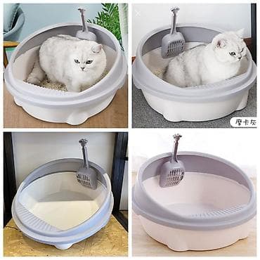 ПРОДАЮ КОВРИКИ ДЛЯ ЛОТКА ЧТОБЫ НАПОЛНИТЕЛЬ НЕ РАЗСЫПАЛСЯ ПО ДОМУ,НЕ at lalafo.kg — 6 ПРОДАЮ КОВРИКИ ДЛЯ ЛОТКА ЧТОБЫ НАПОЛНИТЕЛЬ НЕ РАЗСЫПАЛСЯ ПО ДОМУ,НЕ — 6