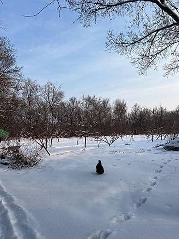 115 соток, Для бизнеса, Красная книга, Тех паспорт, Договор купли-продажи at lalafo.kg — 10 115 соток, Для бизнеса, Красная книга, Тех паспорт, Договор купли-продажи — 10