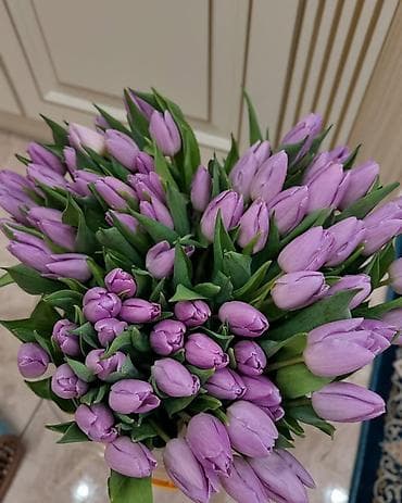 Тюльпаны к 8 Марта — опт и розница. - Свежесрезанные тюльпаны разных at lalafo.kg Тюльпаны к 8 Марта — опт и розница. - Свежесрезанные тюльпаны разных