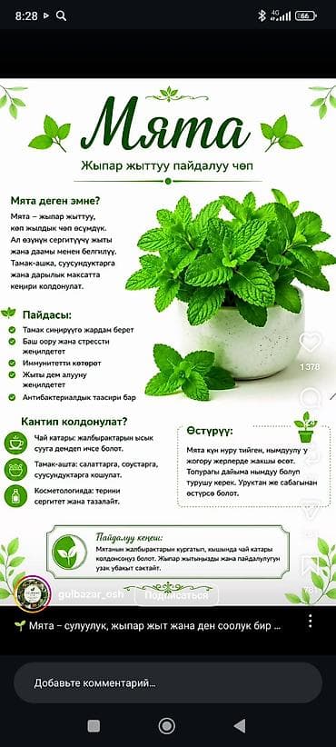 Ассалам алейкум урматтуу жамматт мага.срочна постоянной га lalafo.kg да Ассалам алейкум урматтуу жамматт мага.срочна постоянной га