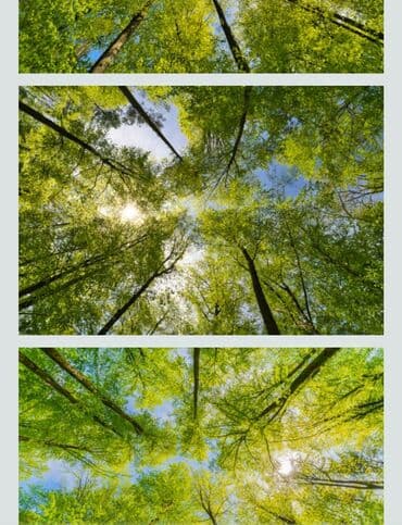 Продаю! Базу со складами и большим ангаром в центре города Кант, 14 at lalafo.kg Продаю! Базу со складами и большим ангаром в центре города Кант, 14