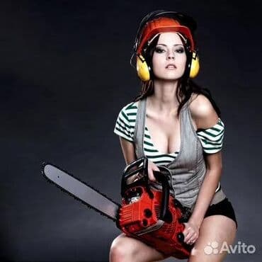 Сдам в аренду Утюги, Строительные леса, Опалубки at lalafo.kg Сдам в аренду Утюги, Строительные леса, Опалубки