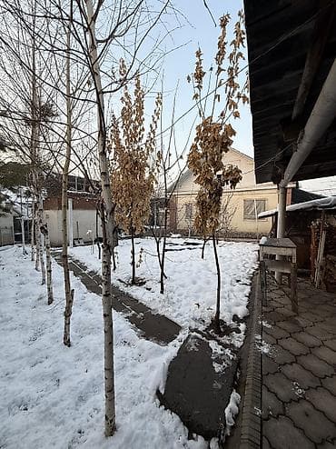 Haima: 5 соток, Курулуш, Кызыл китеп, Техпаспорт, Сатып алуу-сатуу келишими lalafo.kg да — 8 Haima: 5 соток, Курулуш, Кызыл китеп, Техпаспорт, Сатып алуу-сатуу келишими — 8