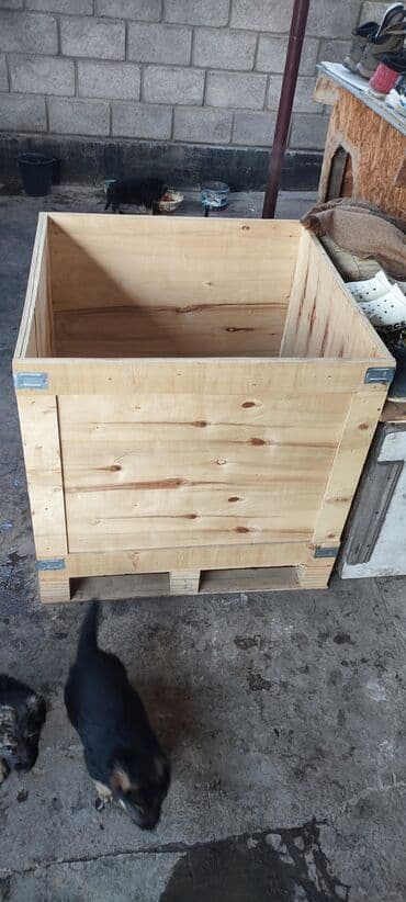 Продаю вот такие ящики есть 8 штук можно хранить корм at lalafo.kg Продаю вот такие ящики есть 8 штук можно хранить корм