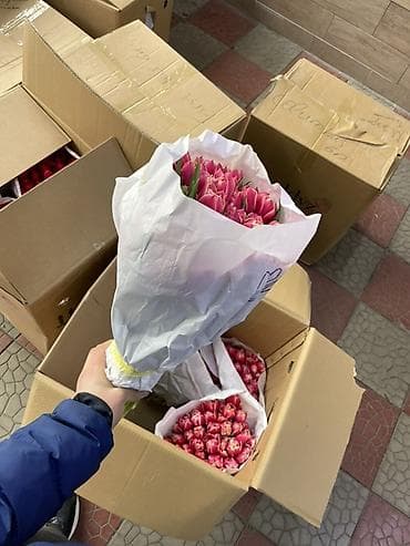 Тюльпаны срезанные — оптом в букетах Описание: - Профессиональная at lalafo.kg — 5 Тюльпаны срезанные — оптом в букетах Описание: - Профессиональная — 5