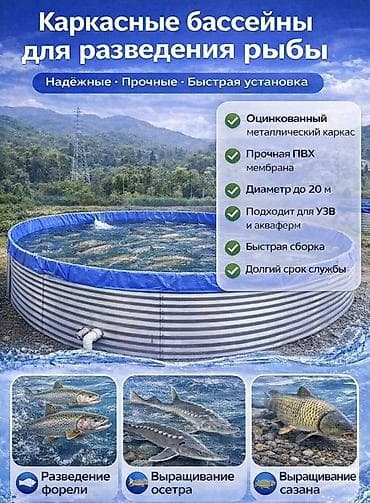 Каркасные бассейны для разведения рыбы - Надёжные, прочные, быстрая lalafo.kg да Каркасные бассейны для разведения рыбы - Надёжные, прочные, быстрая