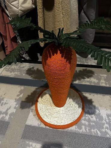 Продаю новую когтеточку в виде морковки ) новая просто так лежит дома at lalafo.kg Продаю новую когтеточку в виде морковки ) новая просто так лежит дома