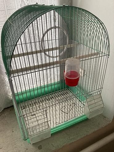 Продаю клетку для попугая
Состояние хорошее
Торг есть at lalafo.kg Продаю клетку для попугая
Состояние хорошее
Торг есть