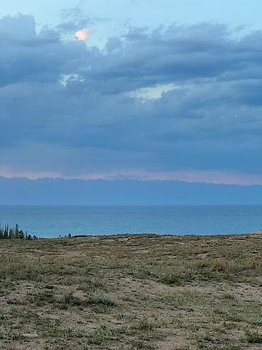 20 соток, Для бизнеса, Красная книга at lalafo.kg 20 соток, Для бизнеса, Красная книга