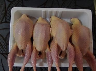 Мясистые перепелиные тушки вес 300 грамм. Мы в центре города lalafo.kg да Мясистые перепелиные тушки вес 300 грамм. Мы в центре города
