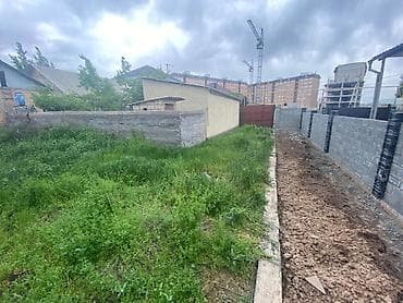 5 соток, Айыл чарба үчүн, Кызыл китеп lalafo.kg да 5 соток, Айыл чарба үчүн, Кызыл китеп