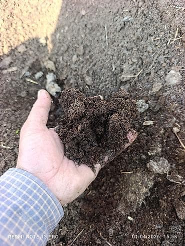 Перепревший органический компост (вермикомпост/перегной) - at lalafo.kg Перепревший органический компост (вермикомпост/перегной) -