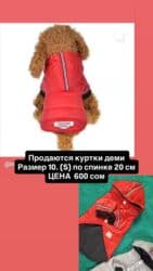 Одежда для собак и кошек, большой выбор Все НОВОЕ РАЗМЕР И ЦЕНА at lalafo.kg Одежда для собак и кошек, большой выбор Все НОВОЕ РАЗМЕР И ЦЕНА