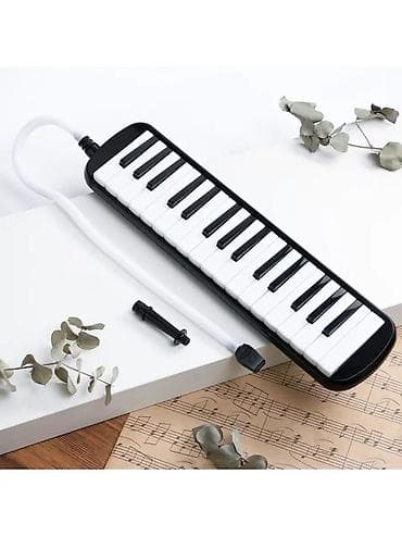 Мелодика с мундштуком и гибким шлангом - 32 клавиши (двухцветная at lalafo.kg Мелодика с мундштуком и гибким шлангом - 32 клавиши (двухцветная