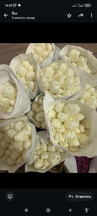 Корпоративные букеты из тюльпанов - Премиальное качество, крупные at lalafo.kg — 7 Корпоративные букеты из тюльпанов - Премиальное качество, крупные — 7