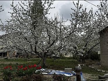 9 соток, Для строительства at lalafo.kg 9 соток, Для строительства