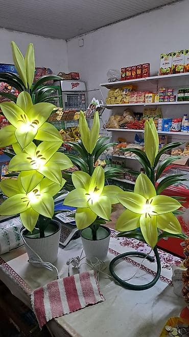 Светильники-цветы «Лилии» в кашпо - Декоративные лампы в виде лилий lalafo.kg да — 1 Светильники-цветы «Лилии» в кашпо - Декоративные лампы в виде лилий — 1