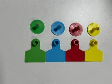 Ушные бирки для овец без надписи из устойчивого материала at lalafo.kg Ушные бирки для овец без надписи из устойчивого материала