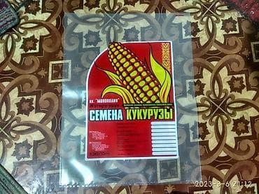 Ассалому Алейкум Кыргыз элим,,, Жугору урук сорт Ала-Тоо, Реализуем. at lalafo.kg Ассалому Алейкум Кыргыз элим,,, Жугору урук сорт Ала-Тоо, Реализуем.