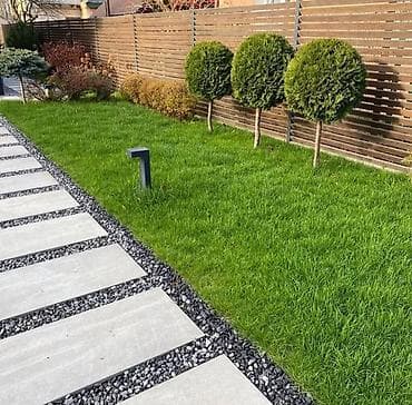 Посев газона под ключ Сделаем красивый и густой газон на вашем at lalafo.kg Посев газона под ключ Сделаем красивый и густой газон на вашем