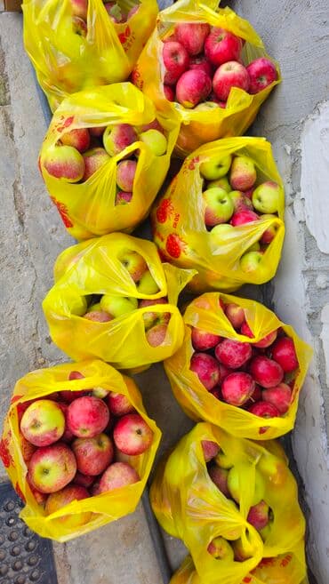 Яблоки Превосходное at lalafo.kg Яблоки Превосходное