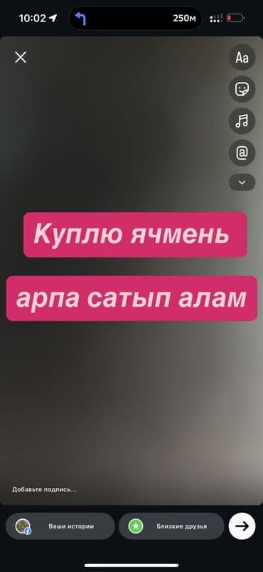 Куплю ячмень, кукурузу, клевер в тюках. Беде ЧОП алам, арпа, жугору at lalafo.kg Куплю ячмень, кукурузу, клевер в тюках. Беде ЧОП алам, арпа, жугору